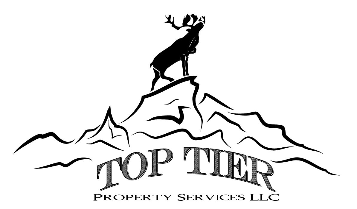 Top Tier Property Services LLC